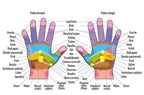 Masajul palmelor și degetelor